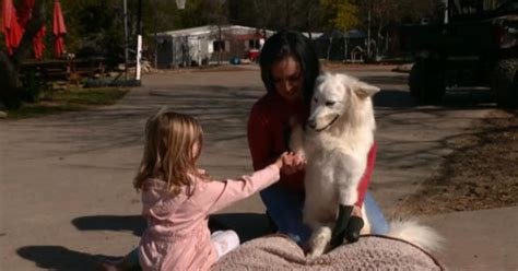 Rescue animals offer comfort to children with disabilities